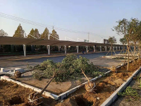 河南安阳停车棚