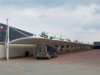 ebef788b3aa2a69b73418cc53c7c972