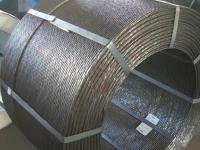 无粘结钢绞线-4-