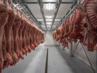 微信图片_20250930135725_318_2965