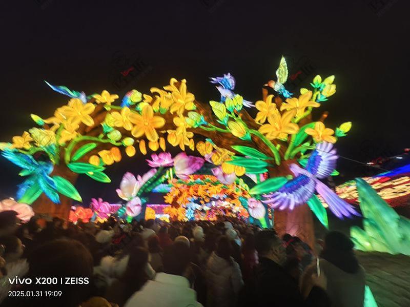 自贡灯会文旅开发-24-