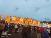 自贡灯会文旅开发-21-
