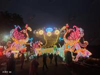 自贡灯会案例-12-