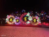 自贡灯会案例-2-