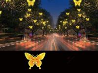 树挂系列-6-_副本