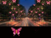 树挂系列-5-_副本