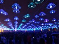 树挂系列-2-_副本