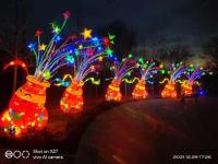 自贡彩灯氛围-14-