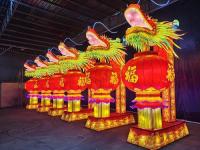 自贡彩灯氛围-6-