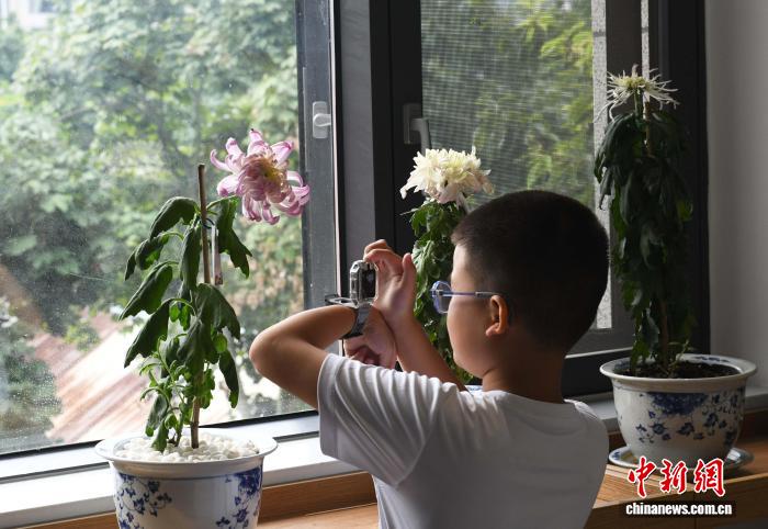 国庆中秋“双节”假期重庆鹅岭公园菊展吸引游人