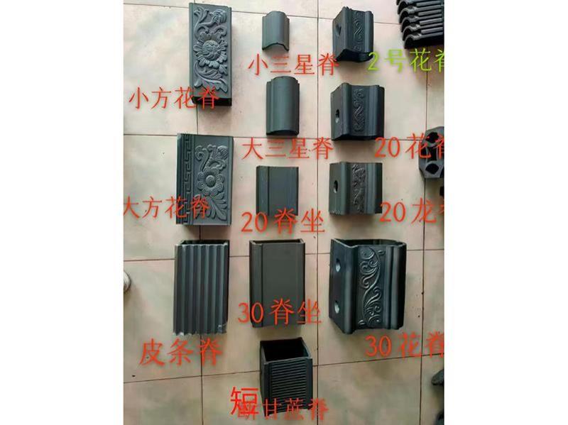 各种脊