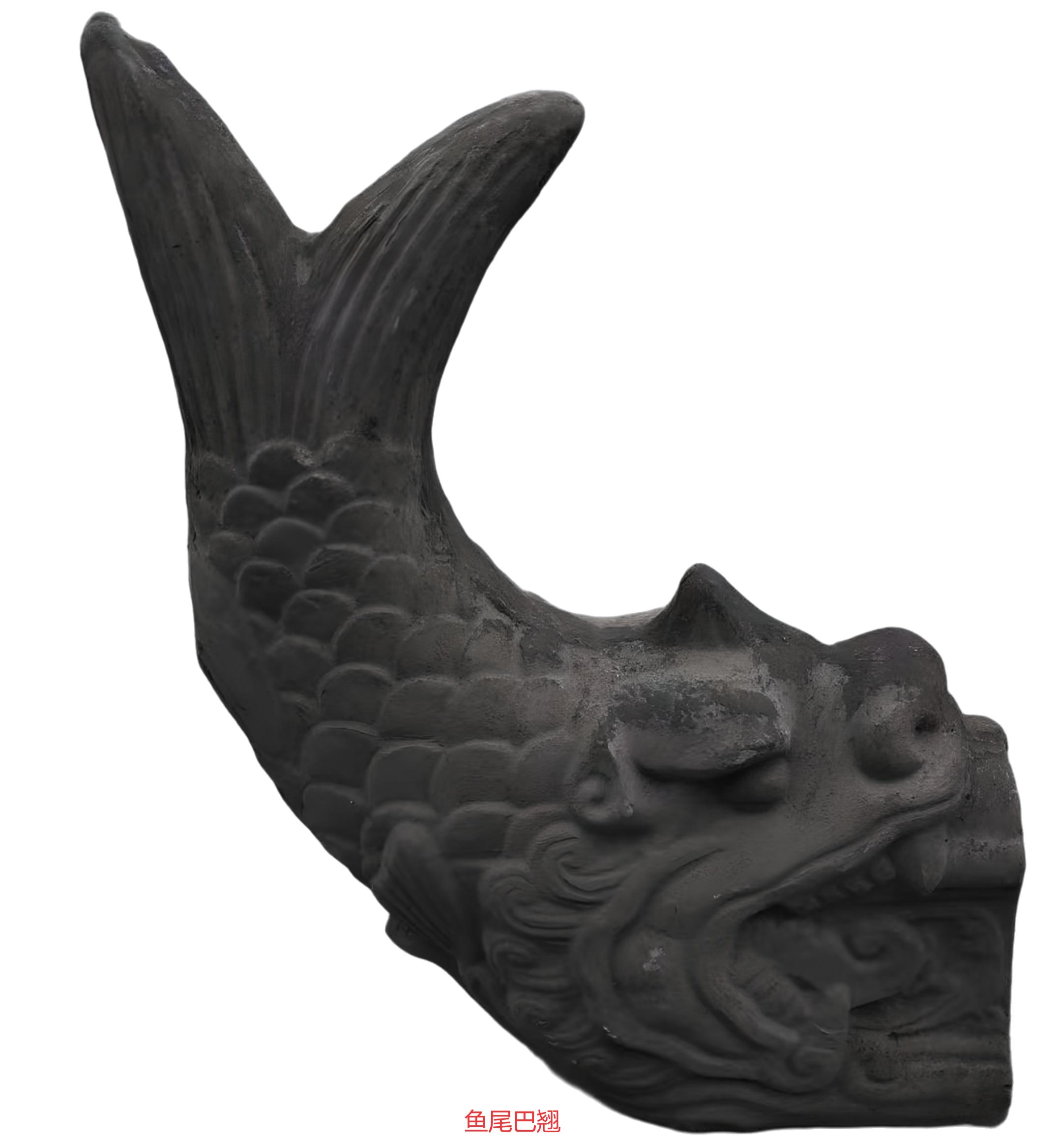 20花脊鱼尾巴翘