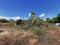 绿化垃圾处理-4-