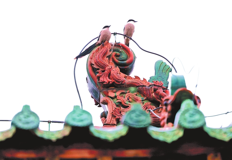 济渎庙清源门正脊螭吻