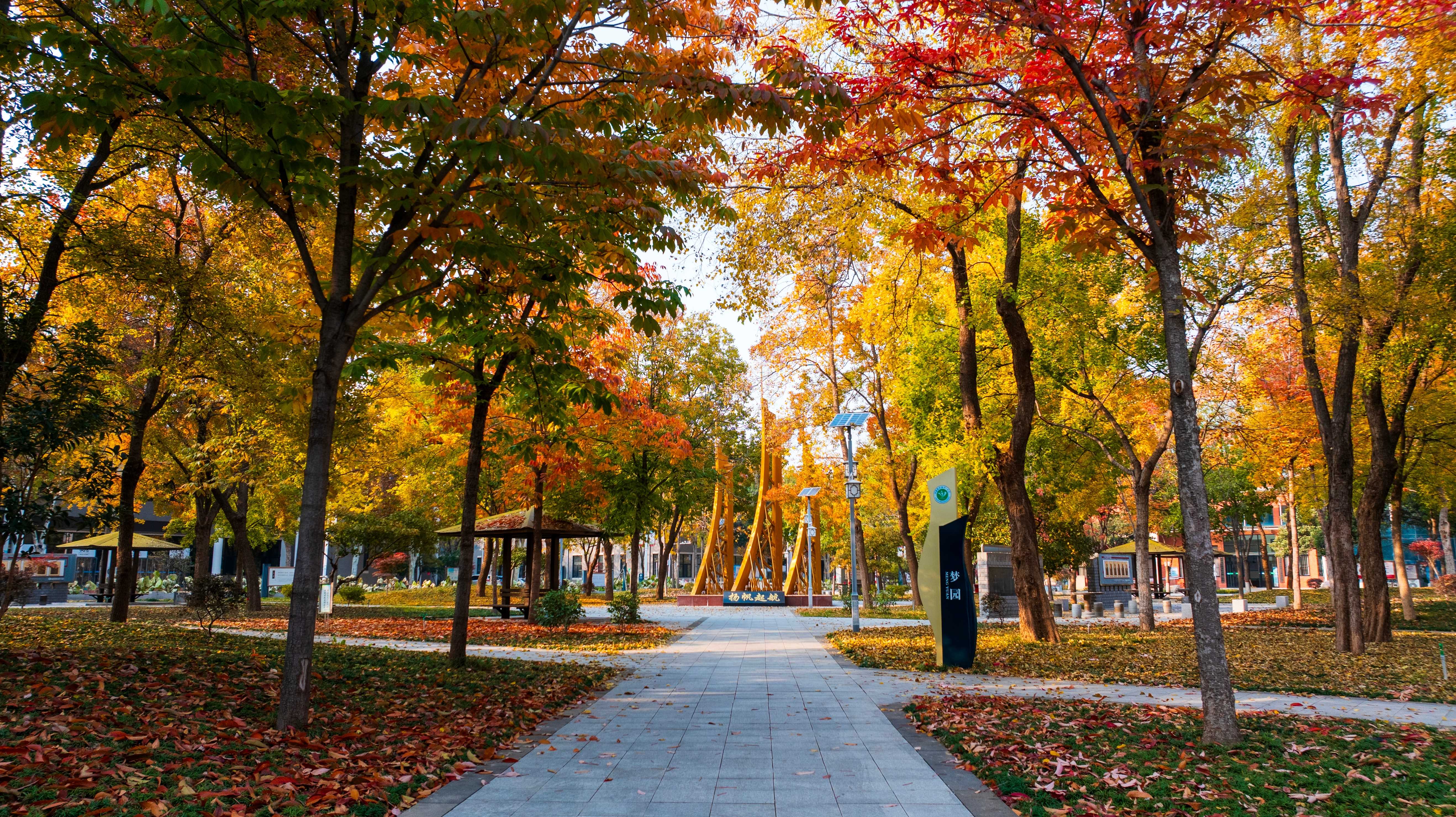 济源大道校区梦园