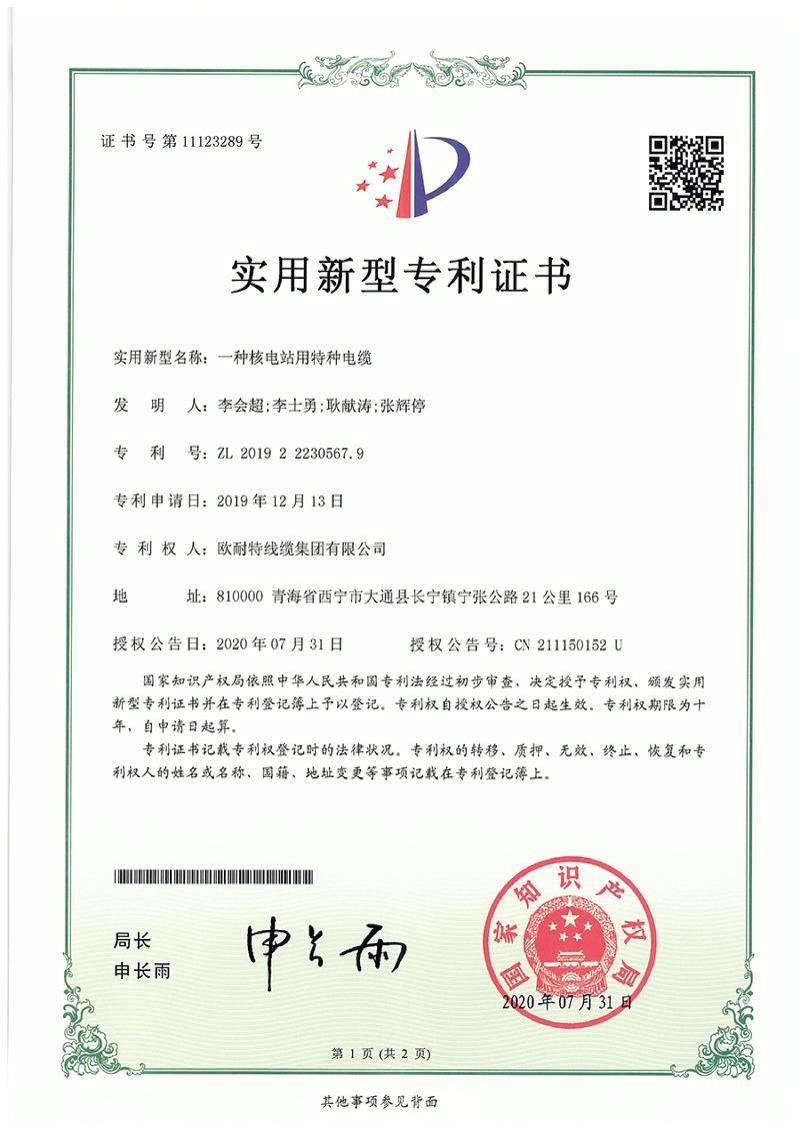 一种核电站用特种电继