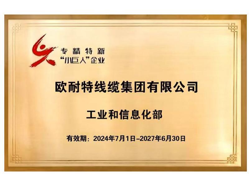 专精特新小巨人企业