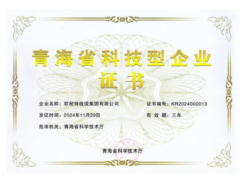 省科技型企业2024