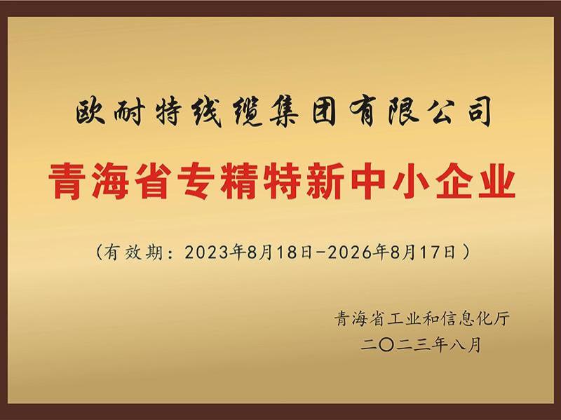 青海省专精特性中小企业