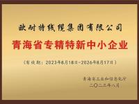 青海省专精特性中小企业
