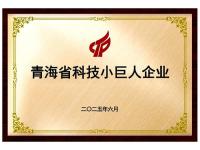 青海省科技小巨人