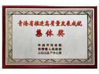 青海省高质量发展集体奖