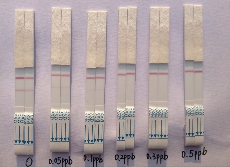 微信图片_20170605180538