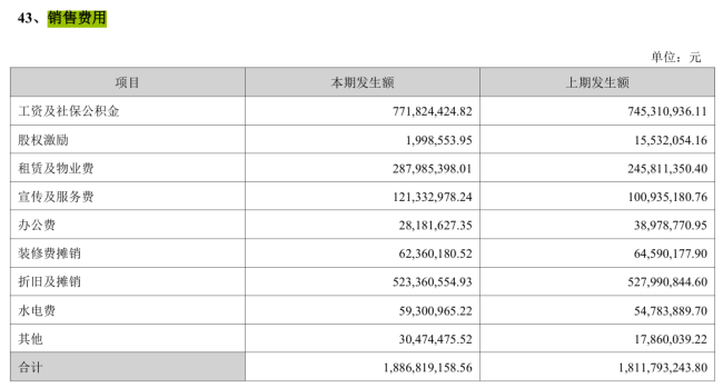 图源：2024年年报截图
