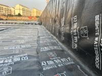 案例展示2