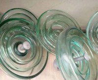 20250317113768686868