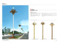 异形景观路灯-29-