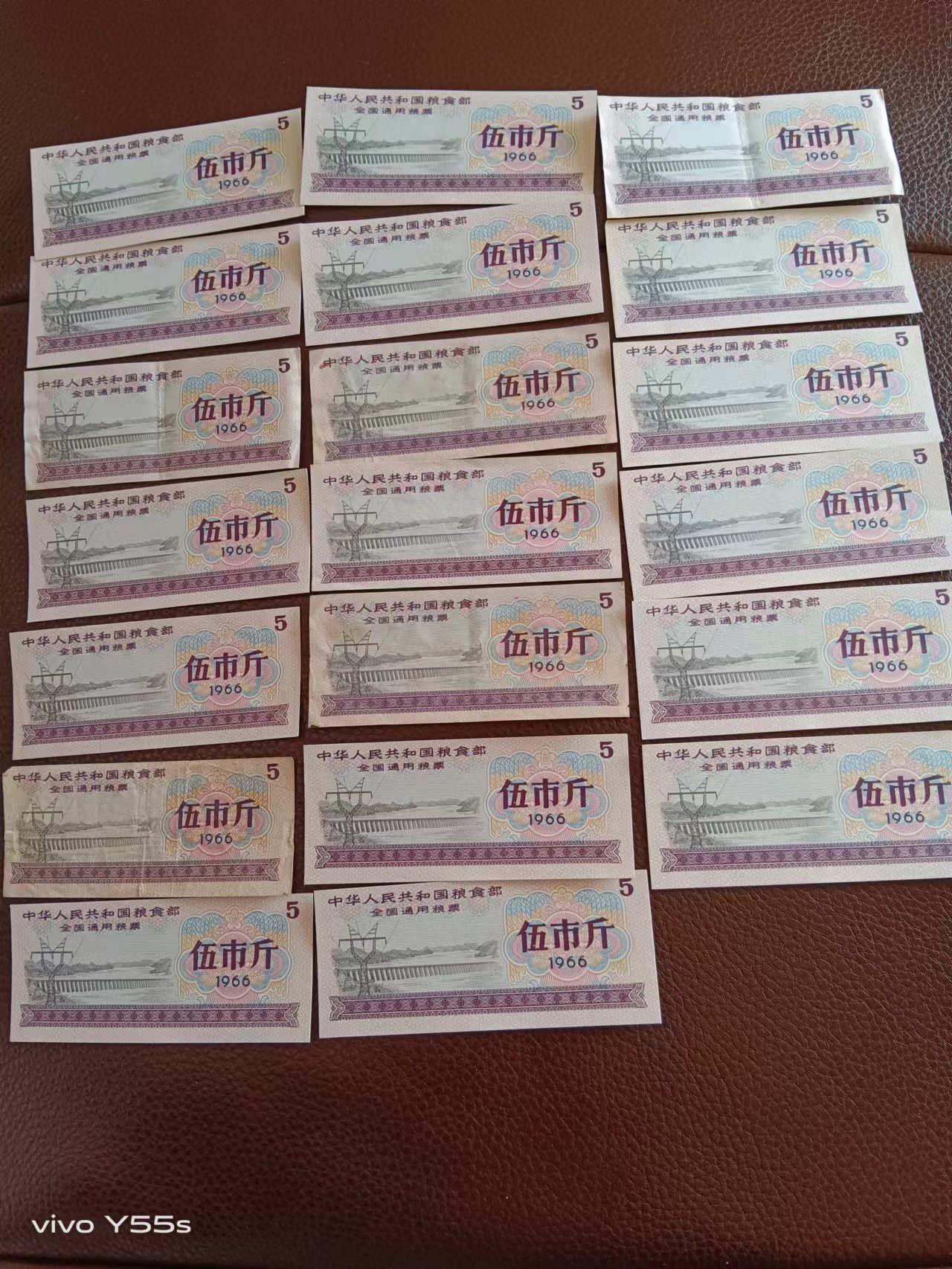 48f5658cc7237906105da0ea1f6d0dc3