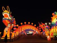 灯会-3-