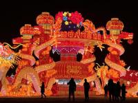 春节彩灯-14-
