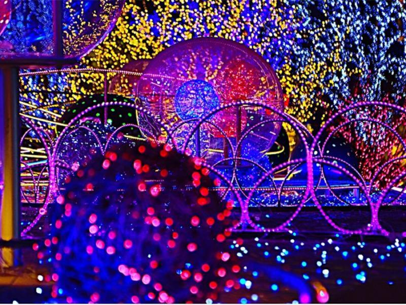 灯光节-19-_副本