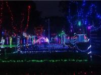 灯光节-20-_副本