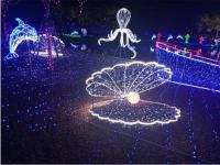 灯光节-21-_副本