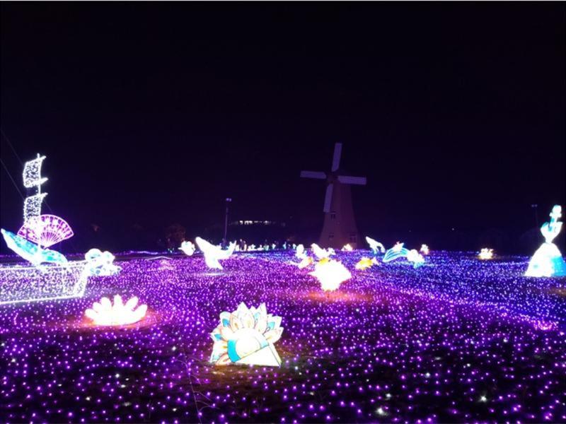 灯光节-23-_副本