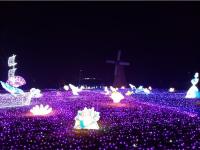 灯光节-23-_副本