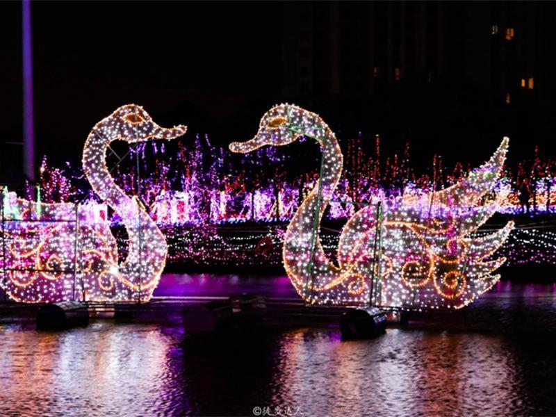 灯光节-25-_副本