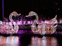 灯光节-25-_副本