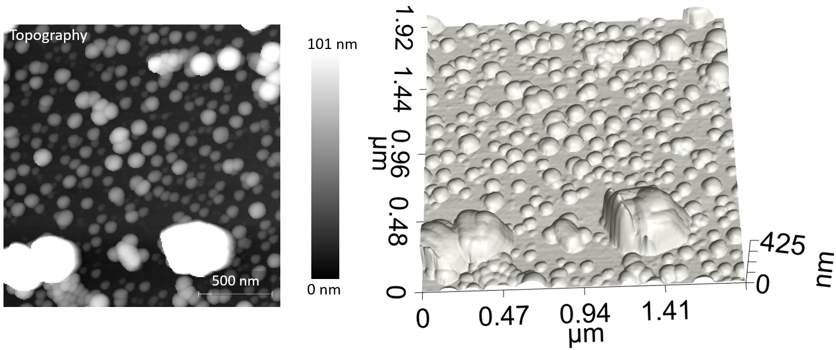 Figure-1-AFM-topotraphy-mixed-nanoplastics-environmental-studies.png
