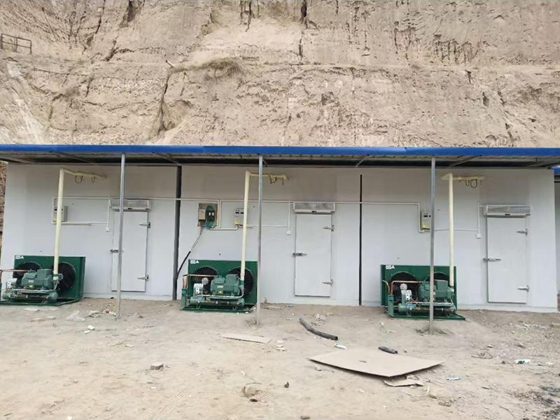 冷库工程案例-3-