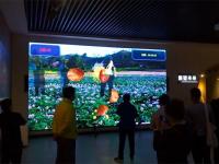 5墙面互动投影：该系统使用感应摄像头，通过投影让来宾与墙面产生互动。来宾触摸或者挥舞时，画面会与来宾产生互动，可定制开发_副本