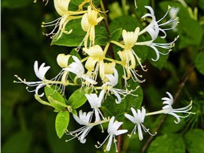 austin-distel-_S7-KX8geL0-unsplash备份19