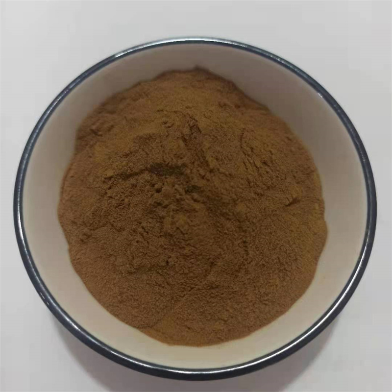 紫锥菊提取物-1