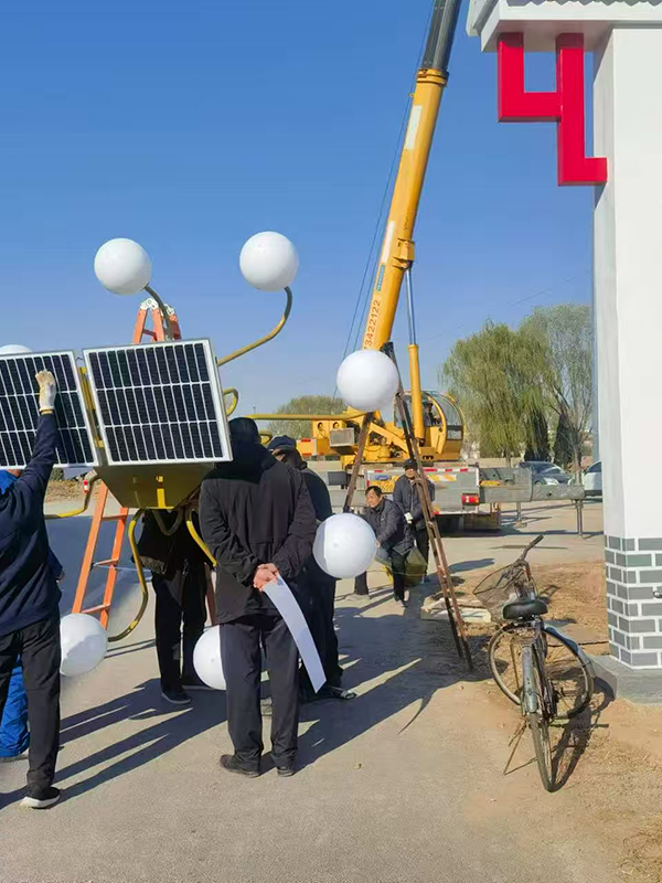 滨州雷家村和南孟村案例-2