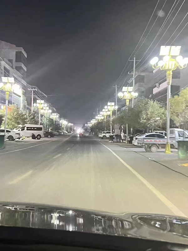 河北邯郸市市政道路案例-1