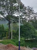 河南商丘案例-3