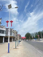 河南商丘案例-4